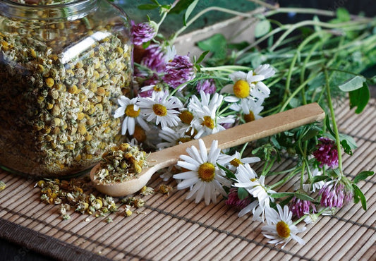 Chamomile Tincture